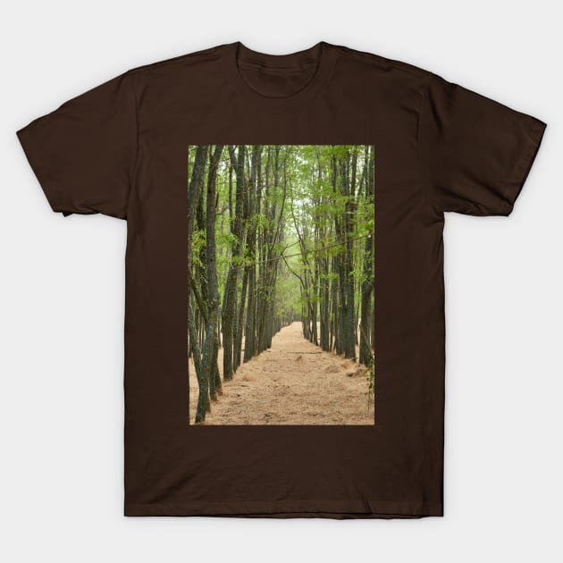 Planted acacia in T-Shirt by Forest Life